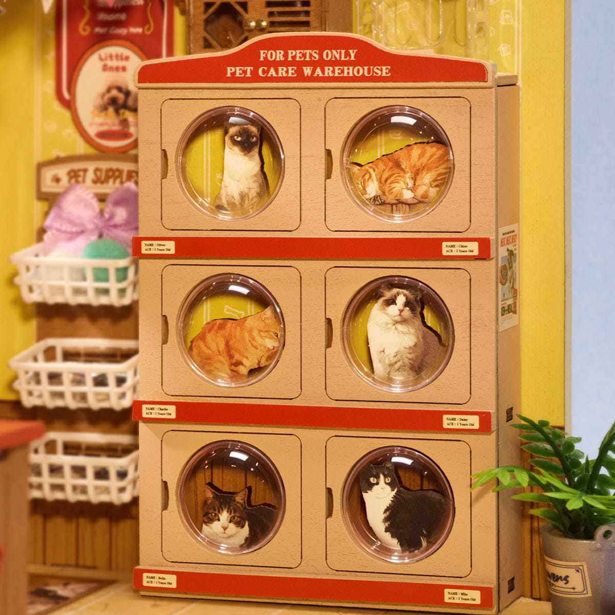 Wooden-Town Fluffy Friends Store DIY Miniature Pet Shop Kit with LED Light5