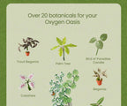 An informational graphic titled 'Over 20 botanicals for your Oxygen Oasis' on a pale green rounded rectangle over a darker green background. It shows several illustrated plants with labels, including Trout Begonia, Palm Tree, Bird of Paradise Candle, Calathea, and Begonia.