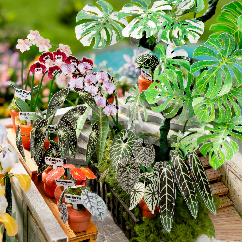 A close-up of a potted tropical plant arrangement featuring large green monstera leaves, smaller patterned houseplant leaves, pink and white orchids, and terracotta pots on a wooden display stand.