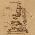 Detailed diagram of a microscope on a brown background