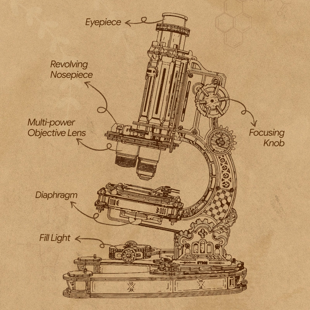 Detailed diagram of a microscope on a brown background