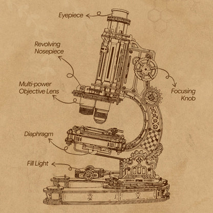 Detailed diagram of a microscope on a brown background